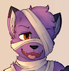 Calebthefox