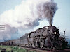 Steamingsouth
