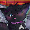 KadenCat