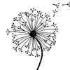 tanpopo