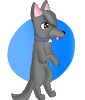 DarwintheDog