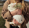 RabbitzBunniezGutz