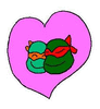 amortortuga