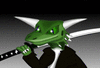 ChaseTehLizard