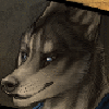Furrylover456