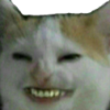 catspores