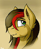 Vectorbrony