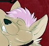 shamusfox