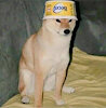 Caramelwolf