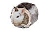 SushiBun