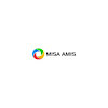 amismisa