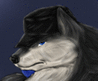 BicoraWolf