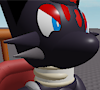 zorua2121