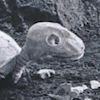 uchuukaiju93