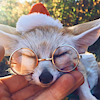 naughtypuppyuwu