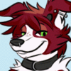 tangopup