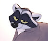 FluffyRaccoon