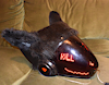 rubberanubis