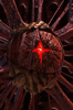 Overmind666