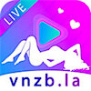 vnzbla