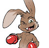 KickboxingBun