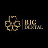 nhakhoabigdental