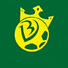bongvipvn