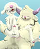 sciyeti