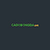 cadobongdalive