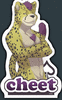 Cheet
