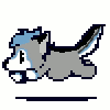AzurelHusky