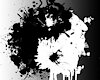 RandomFellow