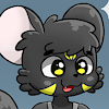 BlackSquirrel