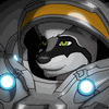 RaveRaccoon