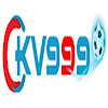 kv999blog