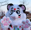 FurzyWhiteTiger