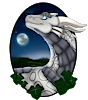 dragonrider65