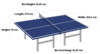 pingpong101