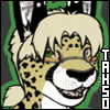 Spottycat