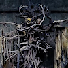 atropos