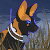 HeraldicMage