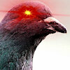 DemonicPigeon