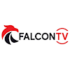 iptvfalconpro