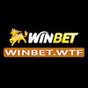 winbetwtf