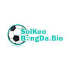 soikeobongdabio