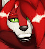 TaiRedFox