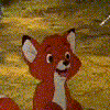 TopFox23