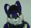 Winterpaw
