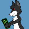 shadowulf