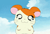 Nise